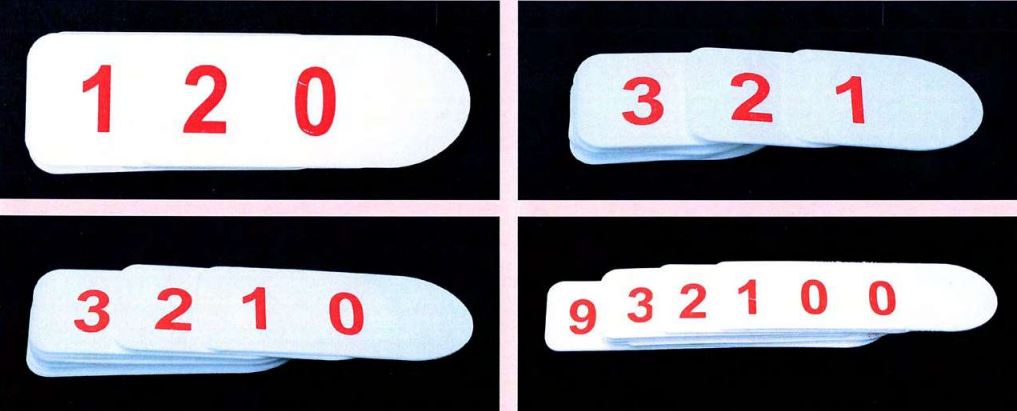PLACE VALUE CARD (THREE ITEMS) 9 x 3
