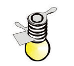 Torch Bulb with Holder
