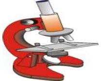 Compound Microscope (optional)