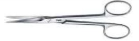 Dissecting
scissors