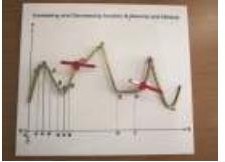 Increasing and decreasing, maxima and minima.