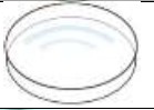 Petridish