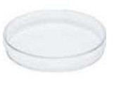 Plastic Petri dish
