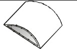 Stamp /Cum containers (half Leaf)