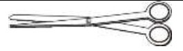 Surgical Scissor