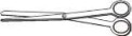 Surgical Scissors