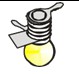 Torch bulb with holder