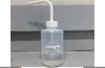 Wash Bottle